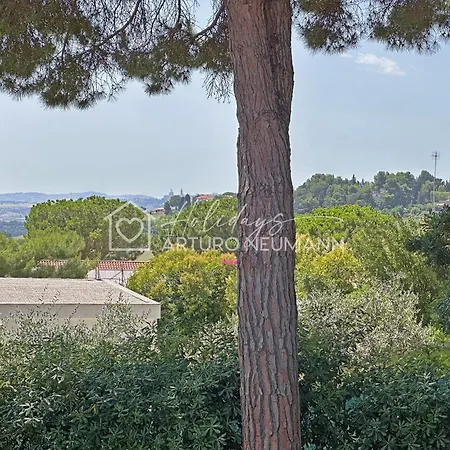 186 - Singola Trilocale Al Taunus Con Splendida Vista Mare - Inclusa Nel Prezzo Numana